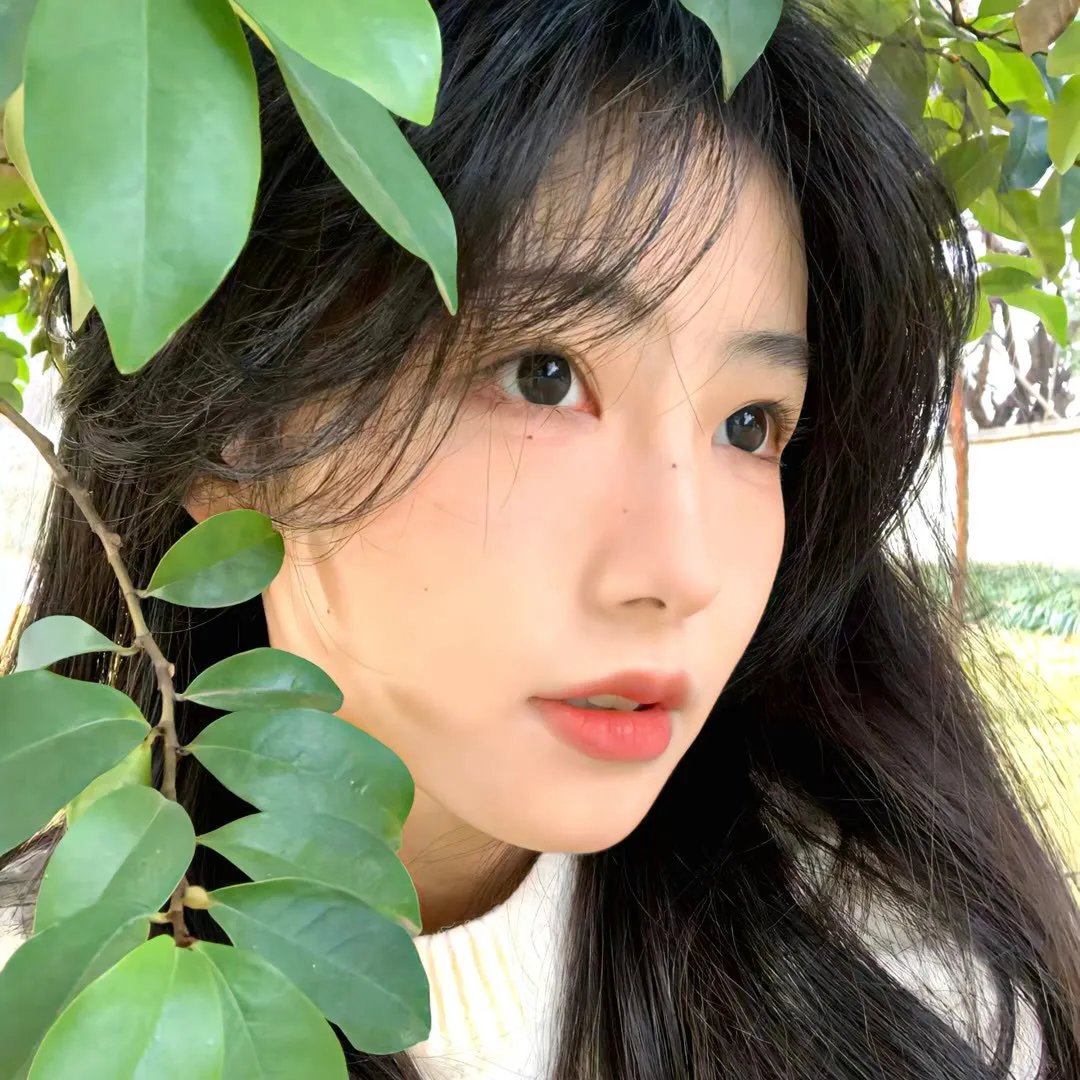 纸花